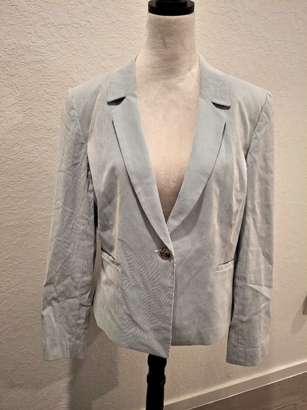 Cremieux Striped Blazer in Blue & White Size 14 Like New